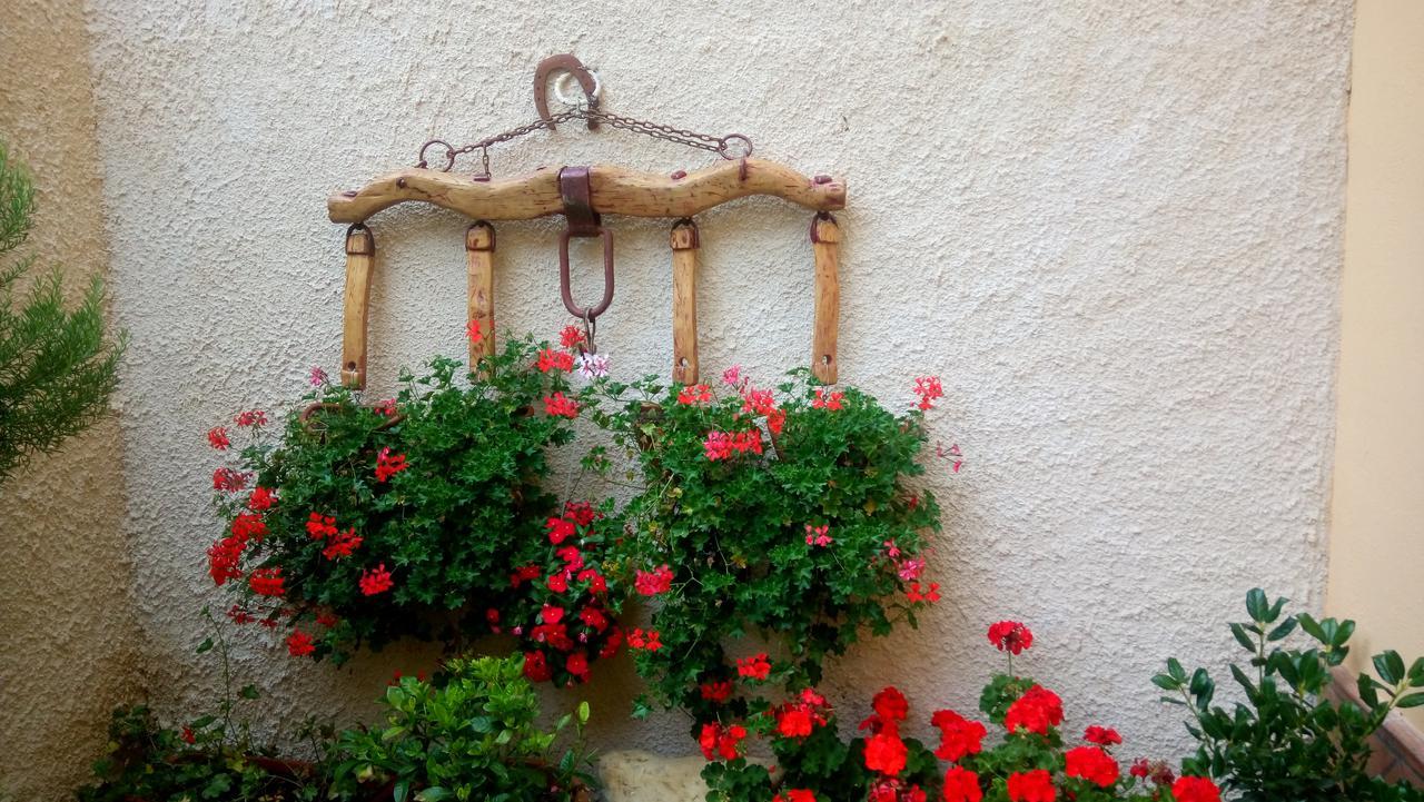 B&B A Casa Di Nonna Massa d'Albe Exterior foto