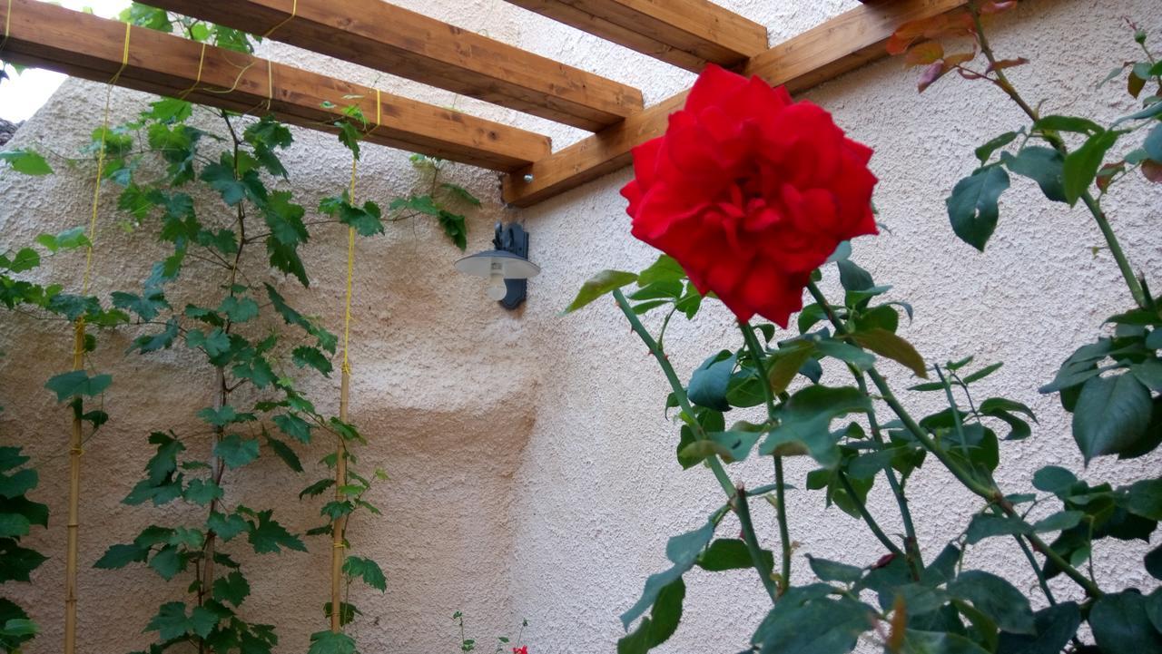 B&B A Casa Di Nonna Massa d'Albe Exterior foto